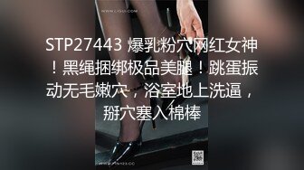 精东影业JDTY006老大的女人一直勾引我