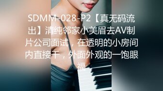 SDMM-028-P2【真无码流出】清纯邻家小美眉去AV制片公司面试，在透明的小房间内直接干，外面外观的一饱眼福